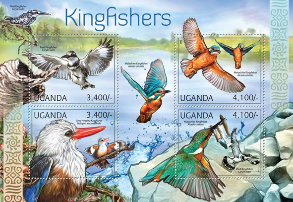 Kingfishers - Issue of Uganda postage stamps