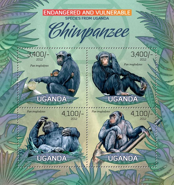 Chimpanzee - Issue of Uganda postage stamps