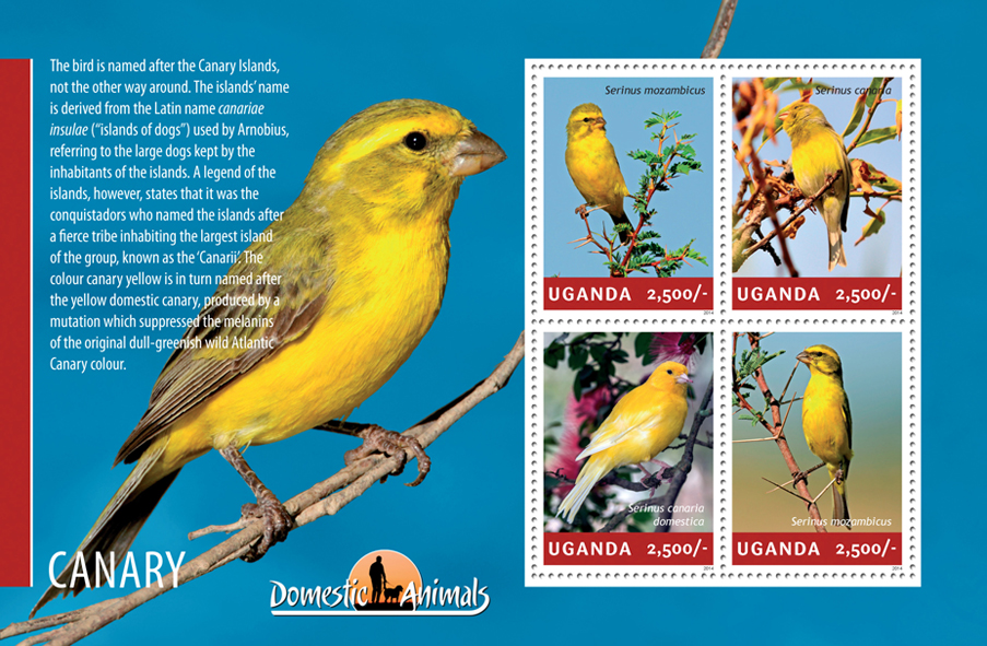 Canary - Issue of Uganda postage stamps