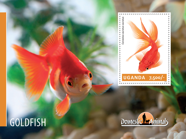 Goldfish - Issue of Uganda postage stamps