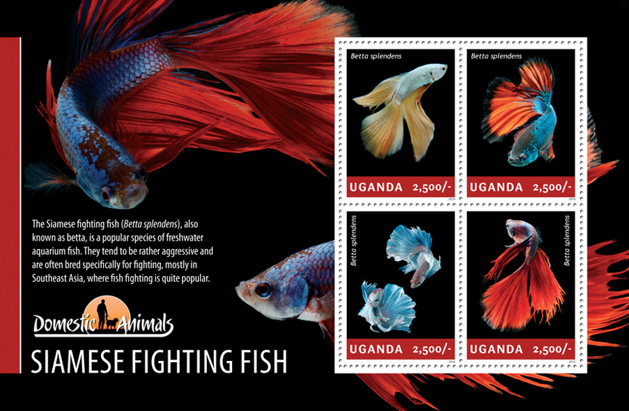 Siamese fighting fish - Issue of Uganda postage stamps