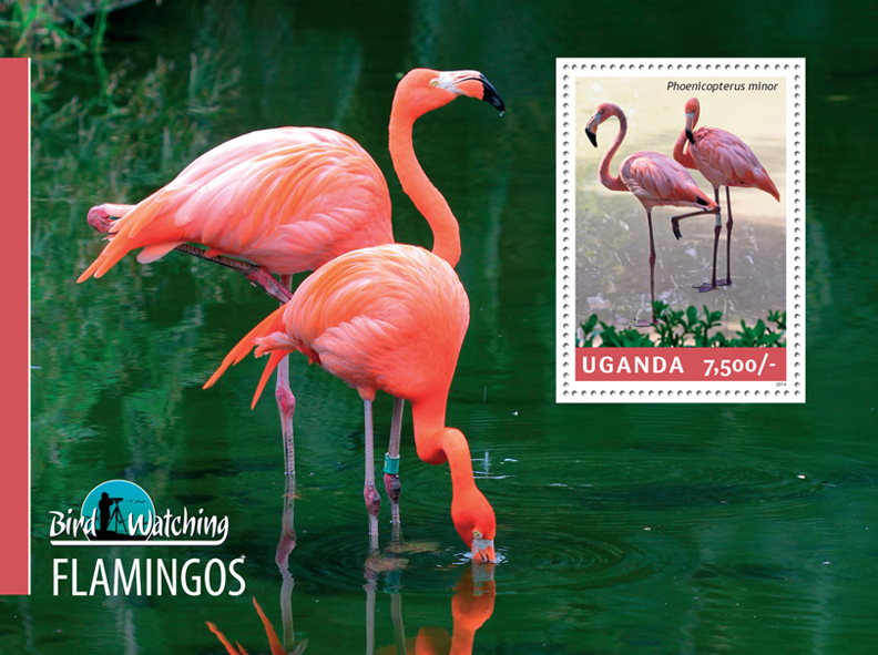 Flamingos - Issue of Uganda postage stamps