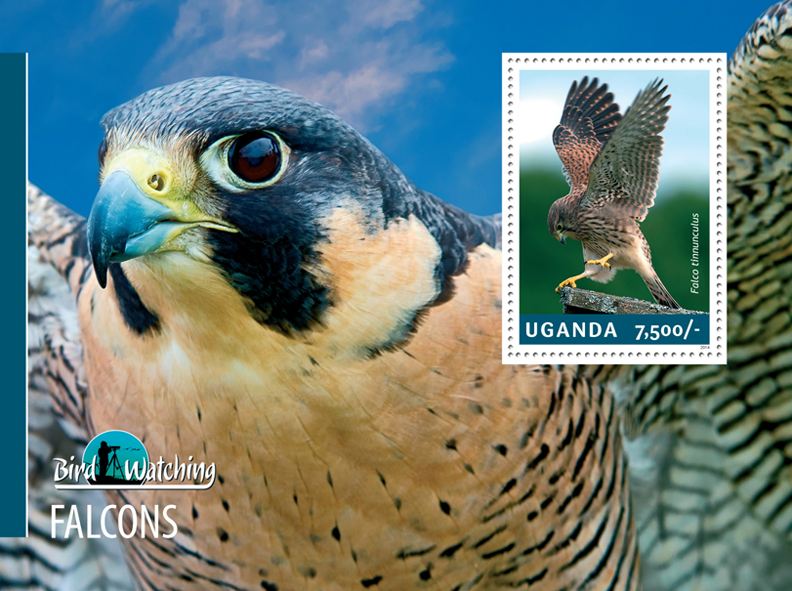 Falcons - Issue of Uganda postage stamps