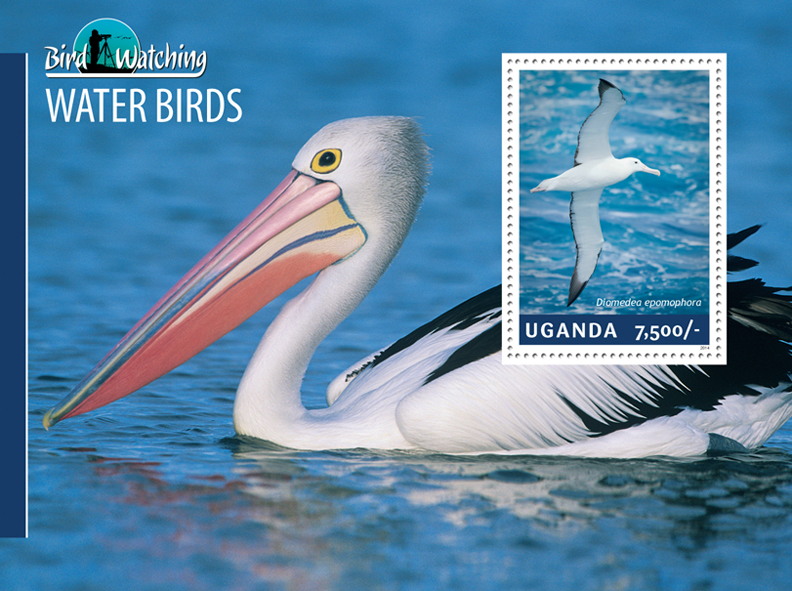 Water birds - Issue of Uganda postage stamps