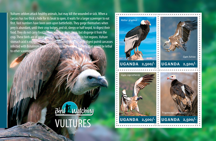 Vultures - Issue of Uganda postage stamps